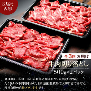 【3か月 定期便】北海道産 星空の黒牛 牛肉切り落とし 約1kg（500g×2）|  牛肉切り落とし