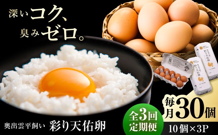 
                  【3回定期便】たたらの里平飼い彩り天佑卵 30個入り（10個×3P）/ 卵 たまご タマゴ 玉子 鶏卵 平飼い卵 放し飼い 卵焼き 卵かけご飯 生卵 なまたまご パック卵 放牧卵 天佑卵 国産卵 パック卵 贅沢卵 定期便 3回 島根県雲南市/株式会社たなべたたらの里（たなべ森の鶏舎） [AIDL002]
                