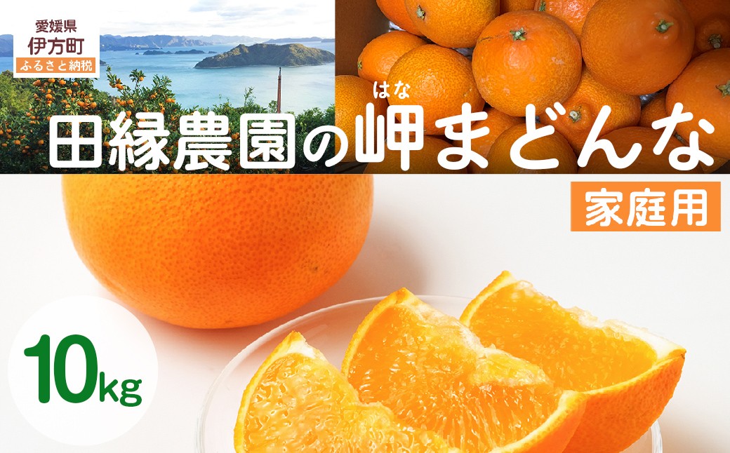 
                  【先行予約】【家庭用】岬まどんな 10kg ※離島への配送不可 （2026年11月25日より順次発送） 【 ふるさと納税 人気 おすすめ ランキング みかん ミカン 蜜柑 はなまどんな まどんな フルーツ 果物 愛媛県産 田縁農園 愛媛県 伊方町 送料無料 】 IKTA034
                