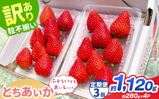 【先行予約】【定期3回】訳あり とちあいか 約 280g × 4P ｜【栃木県共通返礼品】いちご イチゴ 苺 訳あり 不揃い 粒 ハート 栃木県 那珂川町 送料無料