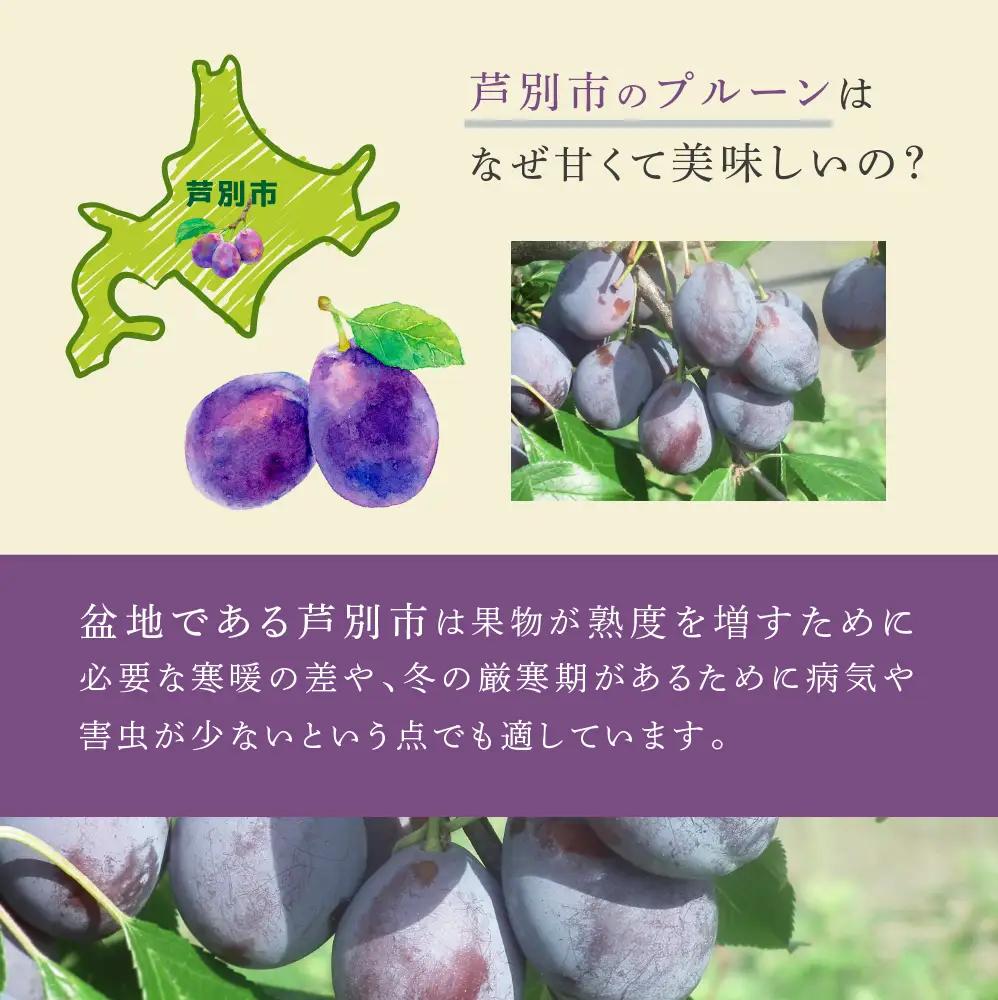 プルーン 1kg 北海道 プルーン ベイラー 生 フルーツ