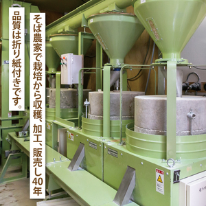 DX-23【茨城県共通返礼品／桜川市】《包装・のし無》【常陸秋そば】八割乾麺セット10パック入（20人分）