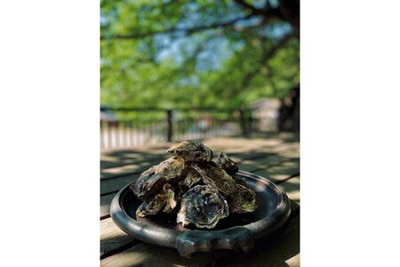 京都・京丹後産牡蠣グラタン 3個セット