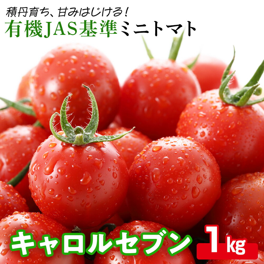 【ふるさと納税】先行受付〈100％有機肥料使用〉積丹産ミニトマト「キャロル7」たっぷり1kg北海道ふるさと納税 積丹町 ふるさと納税 北海道 国産 野菜 ミニトマト キャロルセブン 有機 無農薬 トマト