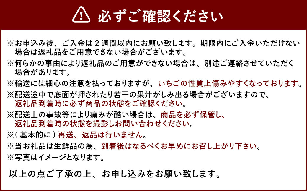 あまおう DX 約280g × 2パック 合計約560g