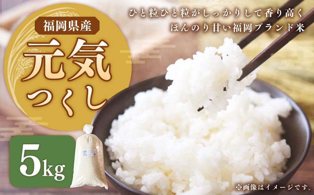 
            【選べる発送月】【令和7年産】福岡県ブランド米「元気つくし」5kg 米 お米 白米 精米 岡垣町 
          