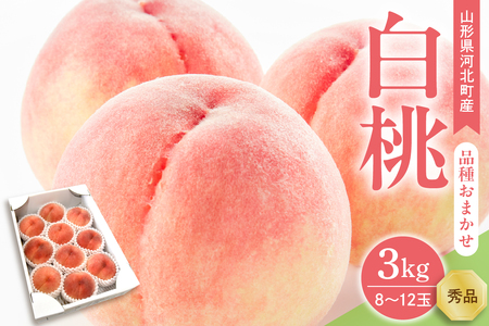 【令和7年産】白桃 品種おまかせ 3kg (8～12玉前後) ギフト箱入 秀品 山形県産 【山形eLab】