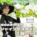 【ふるさと納税】【2025年先行予約】農園直送!厳選!山梨産シャインマスカット2房(1kg以上)【配送不可地域：離島・沖縄県】【1481228】