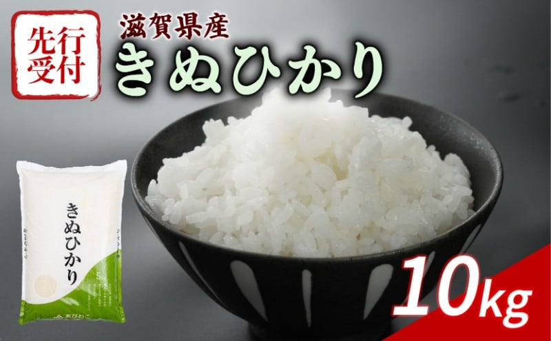 
            【令和7年産先行受付】 きぬひかり 10kg ( 5kg ×2) 令和7年産 新米 米 精米 こめ コメ お米 ご飯 米 キヌヒカリ 先行受付 10キロ 令和7年 滋賀 彦根
          
