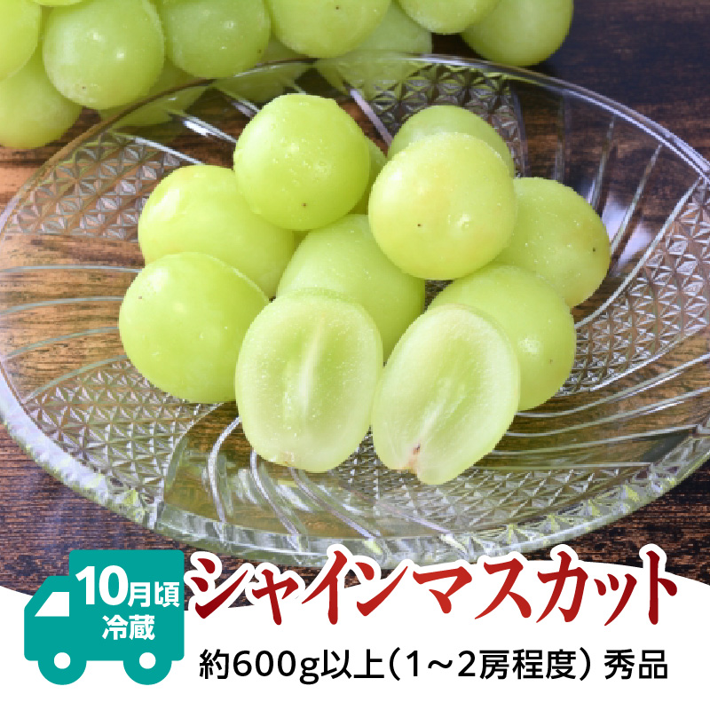 【発送月固定】山形旬彩！こだわりフルーツ定期便全３回Ｂ