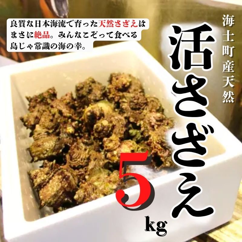 【限定50セット!島獲れ活さざえ5kgセット】日本海の離島の新鮮なさざえを約50匹お届けします! 冷蔵便 サザエ 栄螺 貝 海鮮 BBQ さざえご飯 壺焼き 刺身 年末年始 お正月 お歳暮 御歳暮 ギフト
