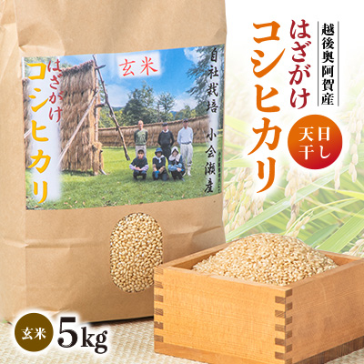 小会瀬のお米「はざがけコシヒカリ」玄米　5kg【1560569】