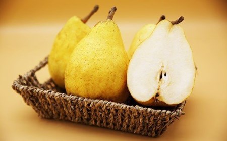 先行予約 ル レクチェ 自家用 3kg 訳あり [2025年11月下旬発送]新潟県産 洋梨 ル レクチエ ル・レクチェ [岩福農園] 【010P026】