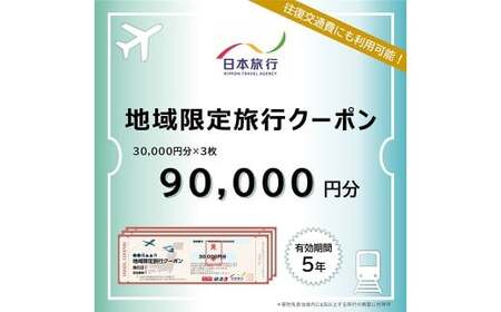 福岡県柳川市 日本旅行 地域限定旅行クーポン90,000円分（30,000円分×3枚）旅行クーポン 旅行 観光 クーポン 家族旅行 柳川市