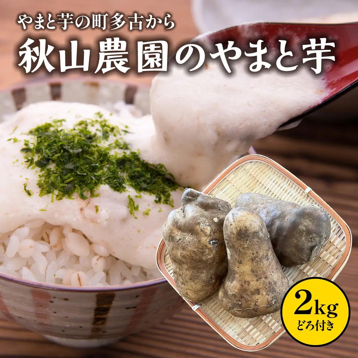 やまと芋の町!多古から「秋山農園のやまと芋」2kg(どろ付き)_野菜 自然薯 根菜 じねんじょ ジネンジョ 【配送不可地域：離島・沖縄県】TAKF050
