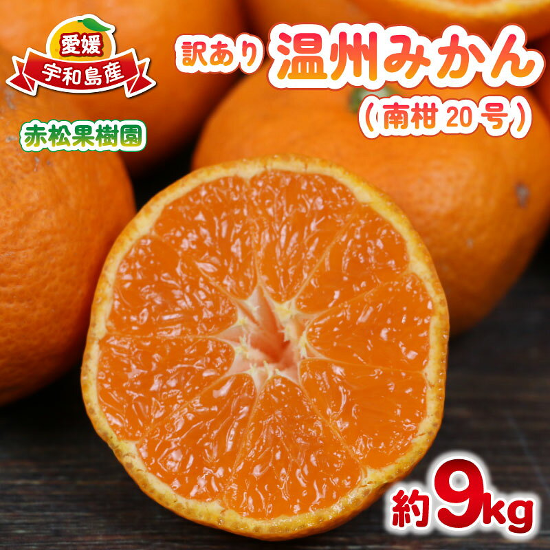 【ふるさと納税】 訳あり 温州みかん 南柑20号 みかん 9kg 赤松果樹園 先行予約 愛媛みかん 愛媛蜜柑 愛媛ミカン うんしゅう mikan 果物 フルーツ 柑橘 濃厚 甘い 甘味 蜜柑 産地直送 農家直送 数量限定 国産 愛媛 宇和島 宇和島 B010-208003