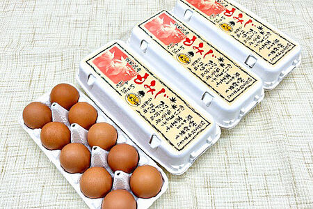 《定期便8ヶ月》 たまごの樹 純国産鶏種 卵『もみじ』36個+割れ保証4個付き（10個入×4パック）