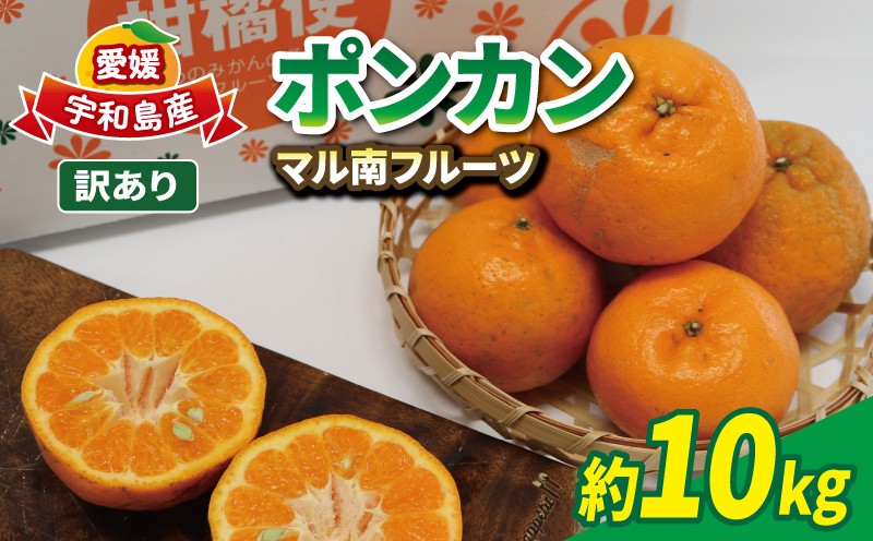 
                  愛媛みかん 訳あり ポンカン 9kg サイズ 不揃い マル南フルーツ ぽんかん 先行予約 愛媛ミカン 愛媛蜜柑 訳ありみかん mikan わけあり 訳アリ 訳あり品 甘い 濃厚 ジューシー 人気 果物 果実 くだもの フルーツ 柑橘 みかん 蜜柑 産地直送 数量限定 国産 愛媛 宇和島 B010-106001
                