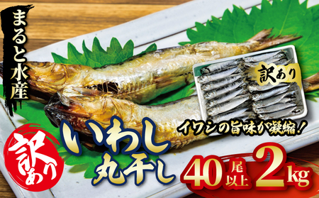 いわし 丸干し2㎏ イワシイワシイワシ