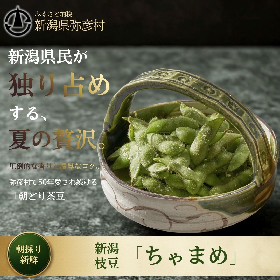 【先行予約】 朝どり新鮮 新潟 枝豆 えだまめ 茶豆 3kg | 特産品 野菜 おつまみ 晩酌 濃厚な甘さ お取り寄せ おすすめ プレゼント ギフト 贈答 贈り物 1キロ 新潟県 弥彦村 農事組合法人
