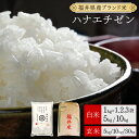 【ふるさと納税】福井県産 ハナエチゼン 【選べる 精米 または 玄米 】 1〜3kg / 5kg / 10kg / 30kg 【米 コメ お米 精米 白米 玄米 ご飯 飯 ハナエチゼン ブランド米 国産 お中元 お歳暮 ギフト 贈り物 贈答 NEW 新規】