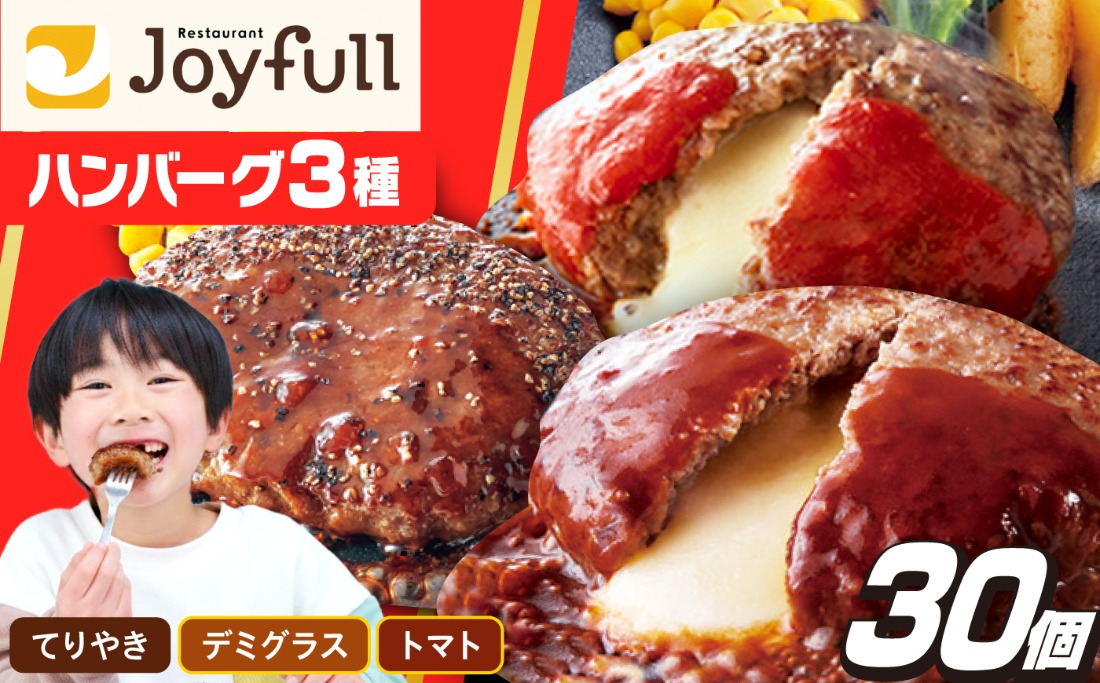 ジョイフル ハンバーグ スペシャル 詰め合わせ 3種 30個セット 《築上町》【株式会社　ジョイフル】 [ABAA011]