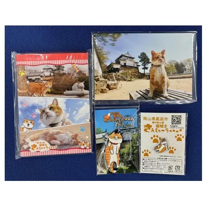 さんじゅーろーグッズセット 雑貨 文房具 小物 詰め合わせ ネコ 実写 猫城主 ポストカード メモ帳 A6 サイズ ピンバッヂ ラバー キーホルダー 
