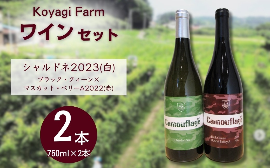 
                  【ワイン】 2本セット ブラック・クィーン×マスカット・ベリーA2022 (赤)  ＋ シャルドネ2023 (白)  | 赤ワイン 白ワイン 国産 日本ワイン お中元 お歳暮 母の日 父の日 プレゼント ギフト 贈り物 福島 南相馬 cj002-ac
                