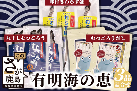  有明海の恵（丸干しむつごろう・味付きわらすぼ・むつごろう出汁セット） B-450