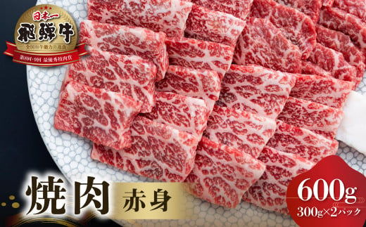 
飛騨牛 赤身 焼肉用 600g (300g×2）[S551]
