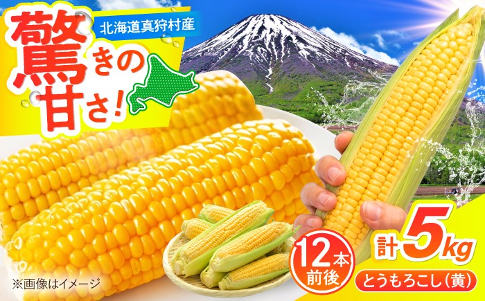 
                  【2026年8月下旬以降順次発送】 とうもろこし（黄）5kg  |  とうもろこし とうきび トウモロコシ トウキビ コーン 野菜 やさい 北海道 産地直送 採れたて野菜 旬 夏野菜 先行予約 自然 旨味 甘味 人気 | 道の駅 真狩フラワーセンター [BPAM020]
                