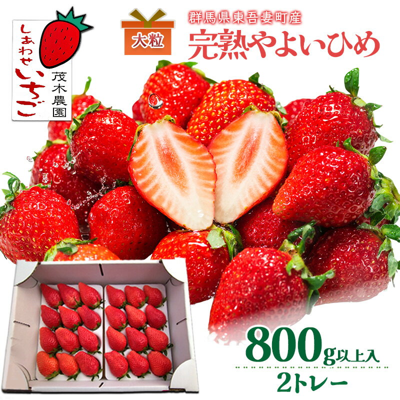 【ふるさと納税】【贈答用】やよいひめ 2トレー（800g以上） いちご ストロベリー 果物 くだもの フルーツ ギフト プレゼント 群馬県 東吾妻町