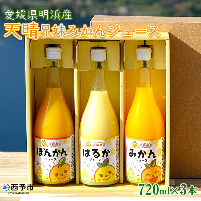 【ふるさと納税】＜天晴兄妹みかん ジュース 720ml×3種類セット 愛媛県明浜産＞ 蜜柑 果物 オレンジ ポンカン はるか フルーツ 株式会社笑丸 飲んで応援 特産品 愛媛県 西予市【常温】『1か月以内に順次出荷予定』