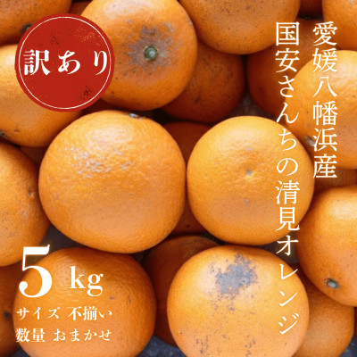
            ＜まるで食べるジュース!越冬完熟品＞愛媛産 訳あり 清見オレンジ 5kg＜C20-33＞【1594859】
          
