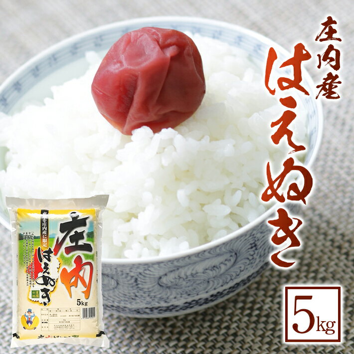 【ふるさと納税】はえぬき 5kg 令和7年産米 山形県庄内産 東北 山形県 酒田市 庄内地方 庄内平野 米 お米 精米 白米 ブランド米 ごはん ご飯