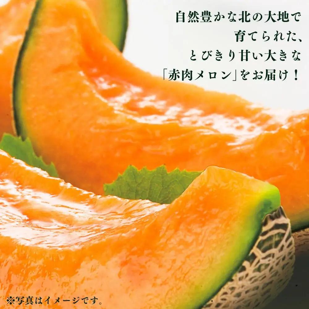 高評価★4.7【先行予約】北海道産 赤肉メロン LLサイズ 2玉（計4.0kg以上）2026年7月上旬から発送開始 | メロン _02099