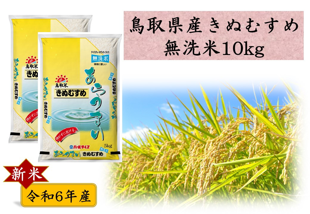 
277J.鳥取県産きぬむすめ◇無洗米10kg◇令和6年産
