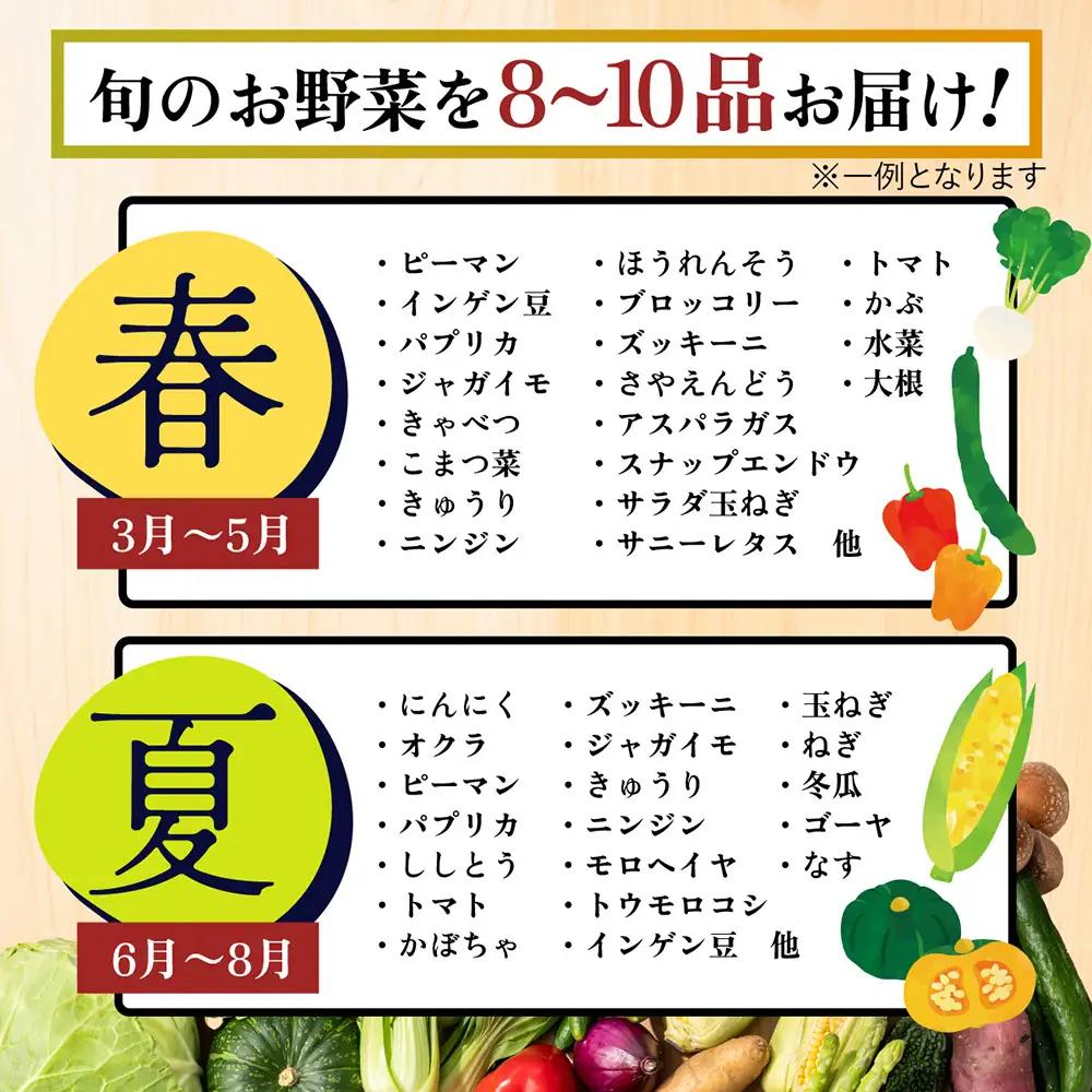 【12ヶ月 定期便】【野菜ソムリエ選定】 肥前の国のお野菜定期便 新鮮 採れたて 野菜 直売所 野菜 8～10品目 野菜定期便 J-14