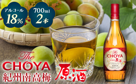 【先行予約】THECHOYA 紀州南高梅 原酒 700ml×2本 羽曳野商工振興株式会社《12月中旬より出荷予定(土日祝除く)》チョーヤ 梅酒 チョーヤ飲み比べ チョーヤ紀州南高梅原酒 チョーヤ羽曳野市 お酒  大阪府 送料無料 産地直送