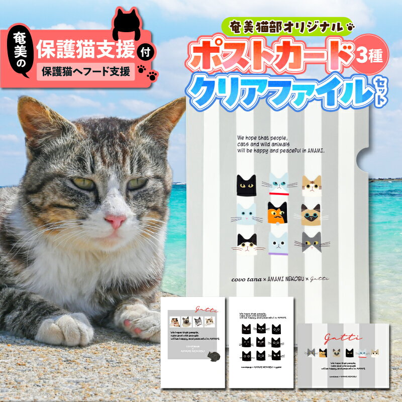 【ふるさと納税】【奄美の保護猫支援 保護猫フード 10日分】＋ ポストカード ＆ クリアファイル セット お手紙 ファイル A4 文具 文房具 猫デザイン 猫カフェ 保護猫 猫 支援 cafeCOVOTANA 鹿児島 奄美市 おすすめ ランキング プレゼント ギフト