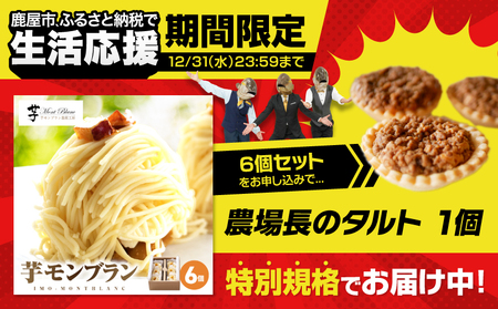 【 期間限定 生活応援 】2333 九州極上芋ケーキ 芋モンブラン 6個入 KN035-005-cp 菓子 お菓子 スイーツ デザート ケーキ モンブラン コガネセンガン いも 芋 お芋 おいも 極上