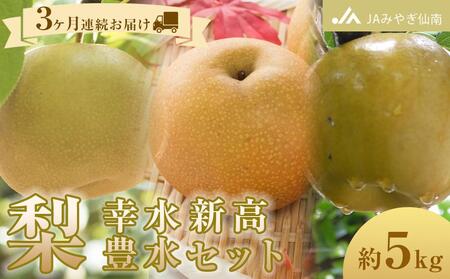 【JAみやぎ仙南】梨「幸水」「豊水」「新高」セット 約5kg　3ヶ月連続お届け【旬のフルーツ、果物、旬のなし、新鮮梨、梨、幸水なし、豊水なし、新高なし】