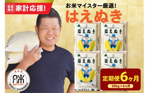 【6ヶ月定期便】 令和7年産 はえぬき 20kg ( 5kg × 4袋 ) × 6回 計120kg 2025年産 精米 米 白米 ブランド米 お米マイスター 厳選 送料無料 山形県 米沢市