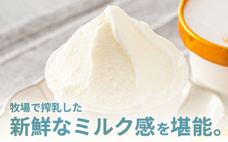 はんすうカップアイス バラエティパック C アイスクリーム スイーツ 詰め合わせ [A-21509]