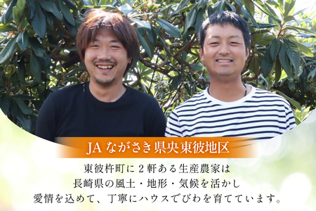 びわ 長崎 ハウスびわ 1kg 化粧箱入 【2027年3月順次発送】