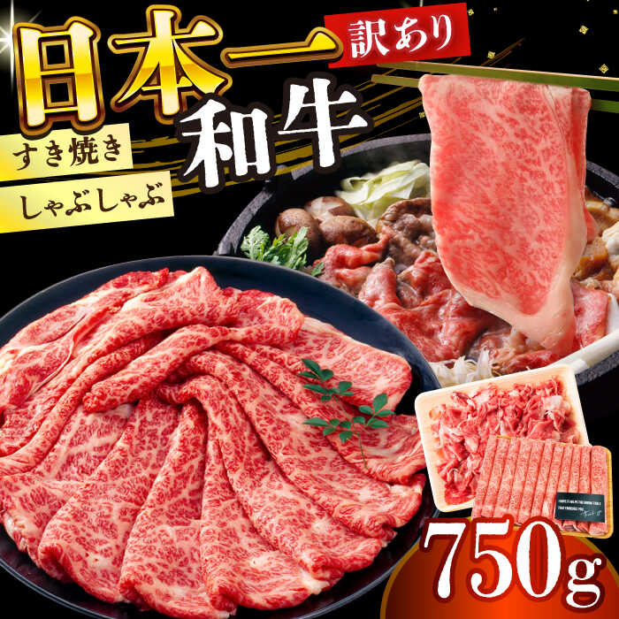 【ふるさと納税】【訳あり】【A4〜A5】長崎和牛しゃぶしゃぶすき焼き750gセット【株式会社 MEAT PLUS】[DBS020] 牛肉 しゃぶしゃぶ 牛しゃぶ 訳あり 訳アリ 長崎和牛 和牛 国産 すき焼き すきやき 国産 国産和牛 牛肉 贅沢