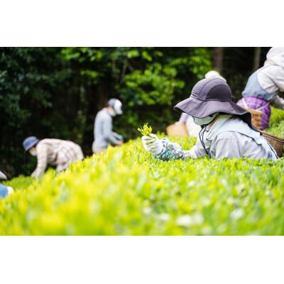 ふるさと納税 島田市 川根茶 ご家庭用 普通煎茶やまびこ1kg (100g袋×10袋セット) |  | 03
