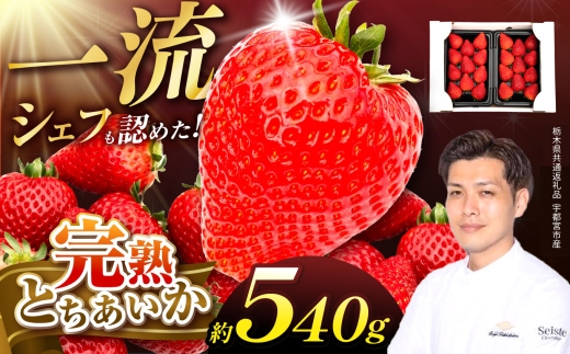 栃木県産 完熟とちあいか  540g（270g×2p）　栃木県 下野市 栃木県共通返礼品 宇都宮産 送料無料