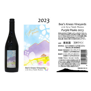 つくば市 筑波山麓産ワイン2本セット(白&赤 各1本) ビーズニーズヴィンヤーズ【 ぶどうワイン ワイン 葡萄ワイン ワイン 茨城ワイン ワイン つくば市ワイン ワイン おすすめワイン ワイン】