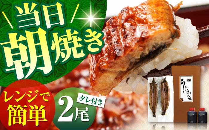 
高知県産 朝焼きうなぎ蒲焼 2尾セット 【株式会社 四国健商】 [ATAF001]
